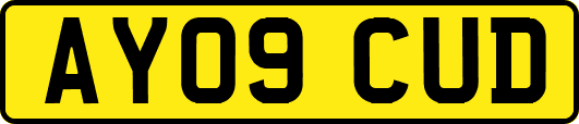 AY09CUD