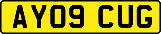 AY09CUG