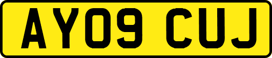 AY09CUJ
