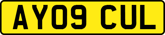 AY09CUL