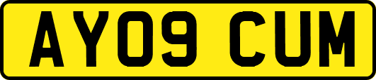 AY09CUM