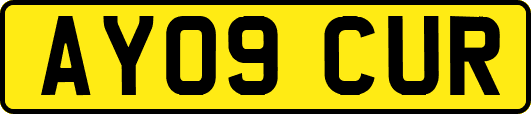AY09CUR