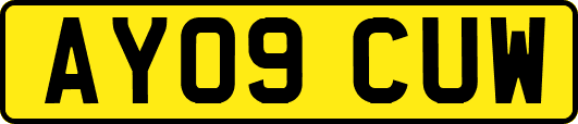 AY09CUW