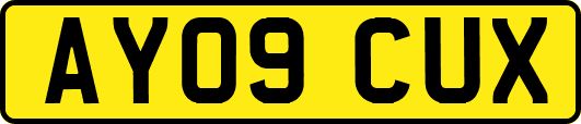 AY09CUX