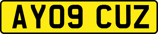AY09CUZ