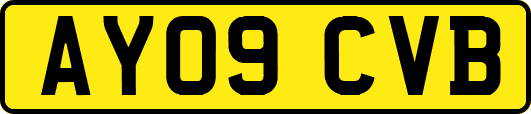 AY09CVB