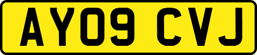 AY09CVJ