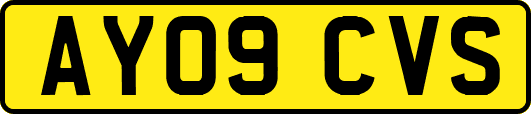 AY09CVS