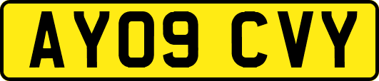 AY09CVY