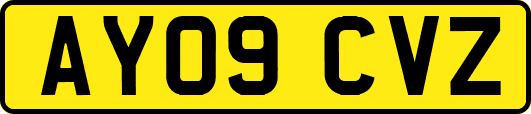 AY09CVZ