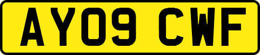 AY09CWF