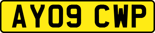 AY09CWP