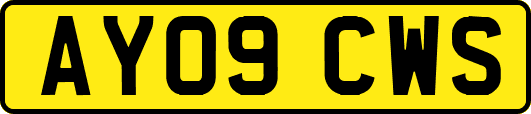 AY09CWS