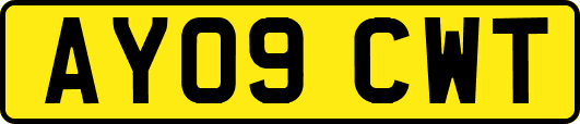 AY09CWT