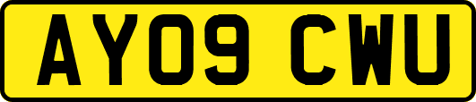 AY09CWU