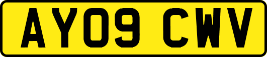 AY09CWV