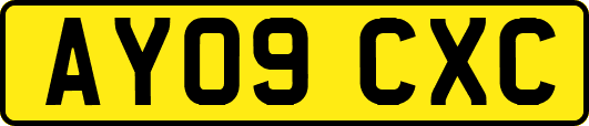 AY09CXC