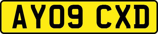AY09CXD