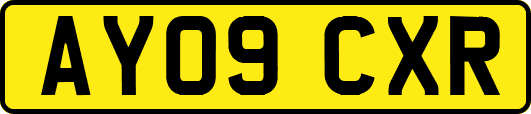 AY09CXR