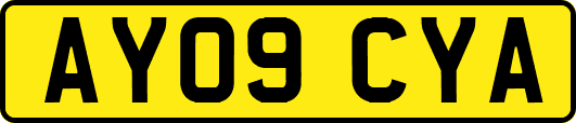 AY09CYA