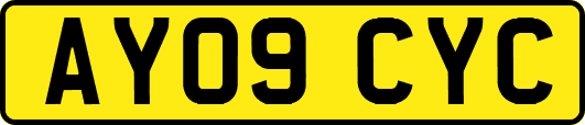 AY09CYC