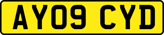 AY09CYD