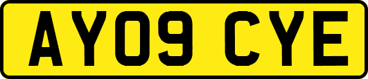AY09CYE
