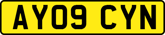 AY09CYN
