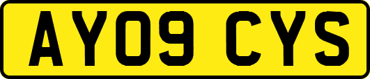 AY09CYS