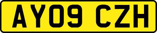 AY09CZH