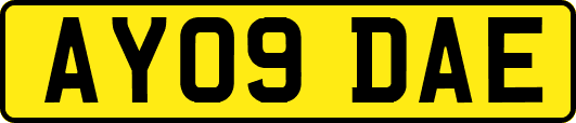 AY09DAE