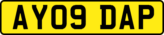AY09DAP