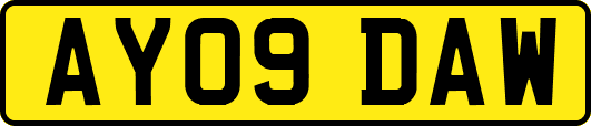 AY09DAW