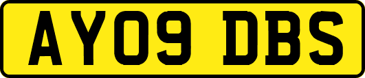 AY09DBS