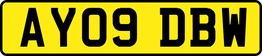 AY09DBW