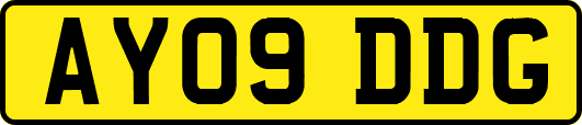 AY09DDG