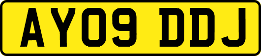 AY09DDJ