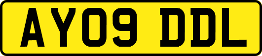 AY09DDL