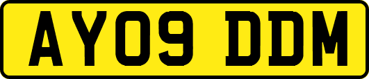 AY09DDM