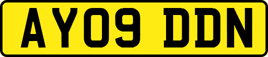 AY09DDN