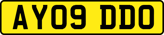 AY09DDO