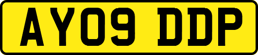 AY09DDP