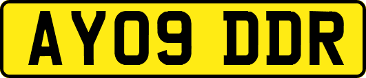 AY09DDR