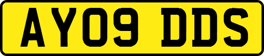 AY09DDS