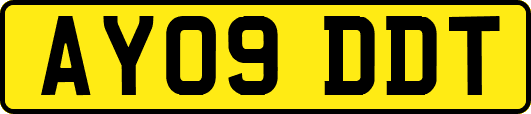 AY09DDT