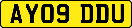 AY09DDU