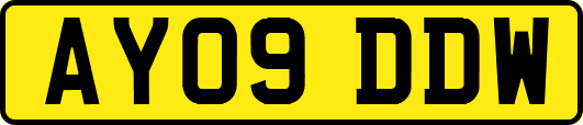 AY09DDW