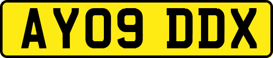 AY09DDX