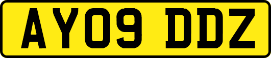 AY09DDZ