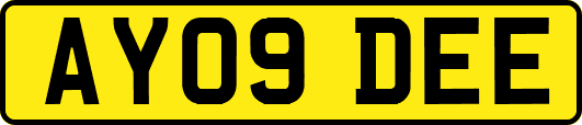 AY09DEE